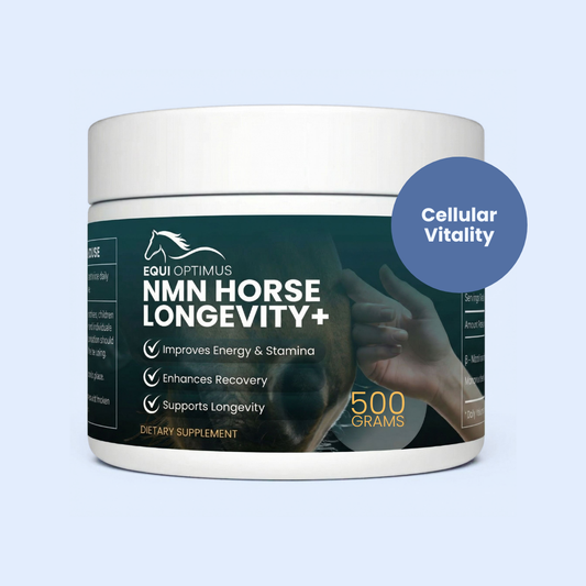 EquiOptimus NMN Horse Longevity+