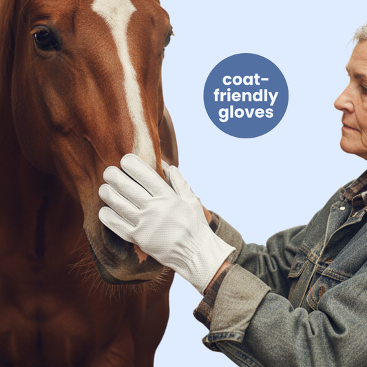 Chevaroo Horse Glove Wipes