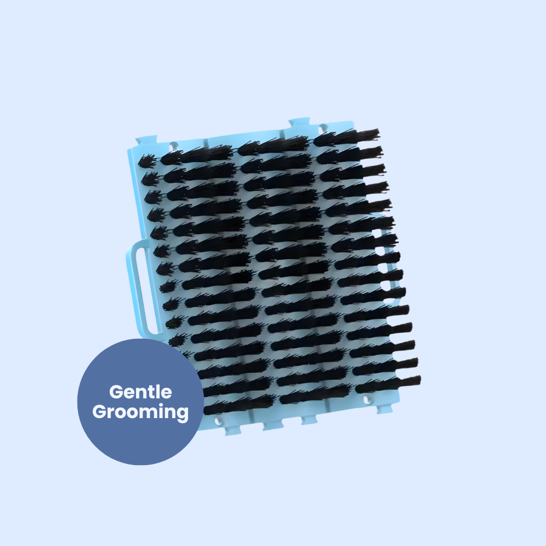 Chevaroo Horse Scratcher 2.0