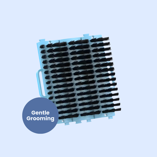 Chevaroo Horse Scratcher 2.0