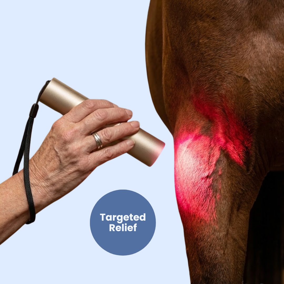 Chevaroo Blue & Red Light Therapy Torch