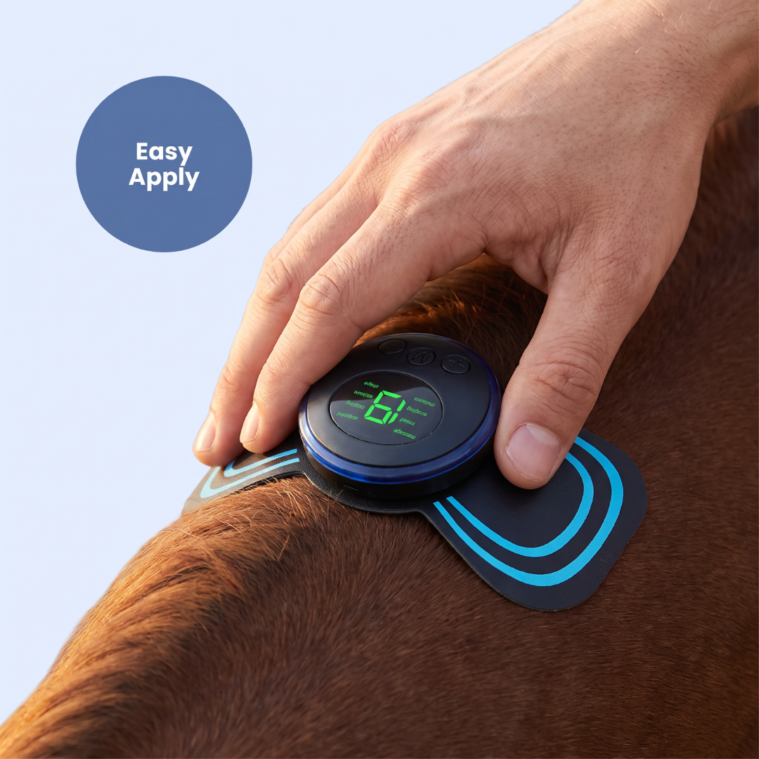 Chevaroo Horse Neck EMS Massager