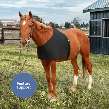Chevaroo Horse Back Posture Corrector