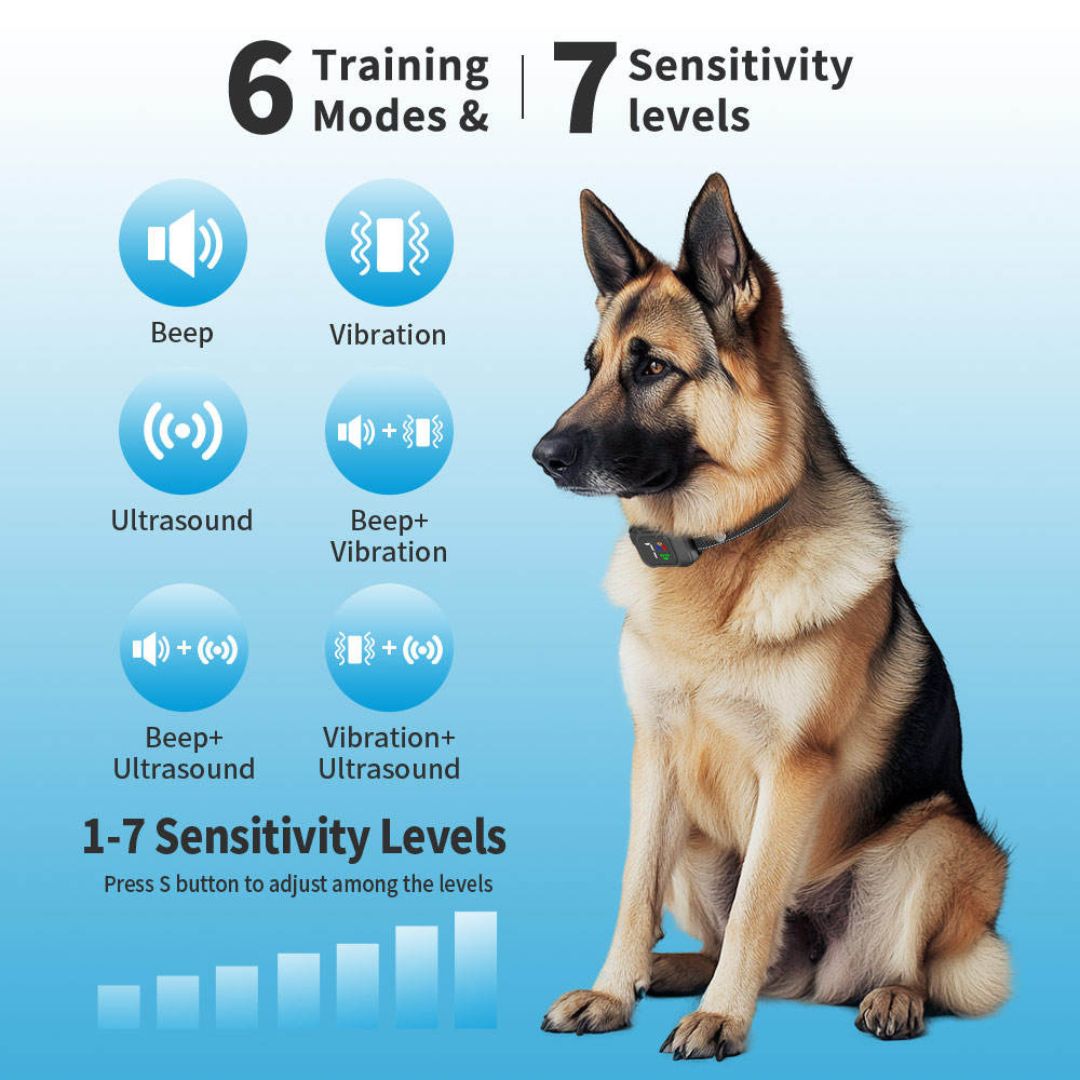Chevaroo Ultrasonic Deterrent Barking Training Belly Collar