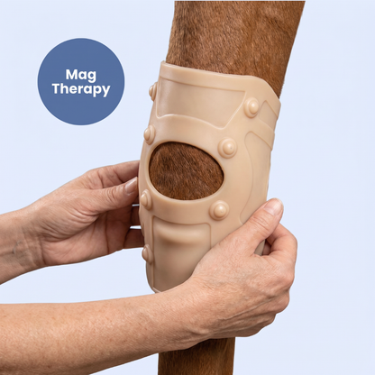 Chevaroo Magnetic Therapy Horse Knee and Hocks Support