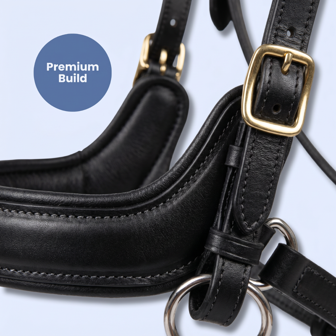 Chevaroo Gentle Nose Padded Bitless Bridle