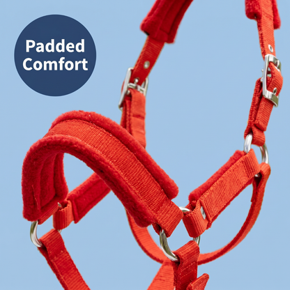 Chevaroo Gentle Nose Padded Bitless Bridle 2.0