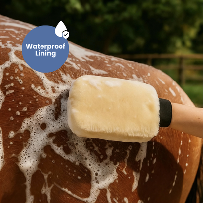 Chevaroo 5 Pcs Wool Plush Gloves