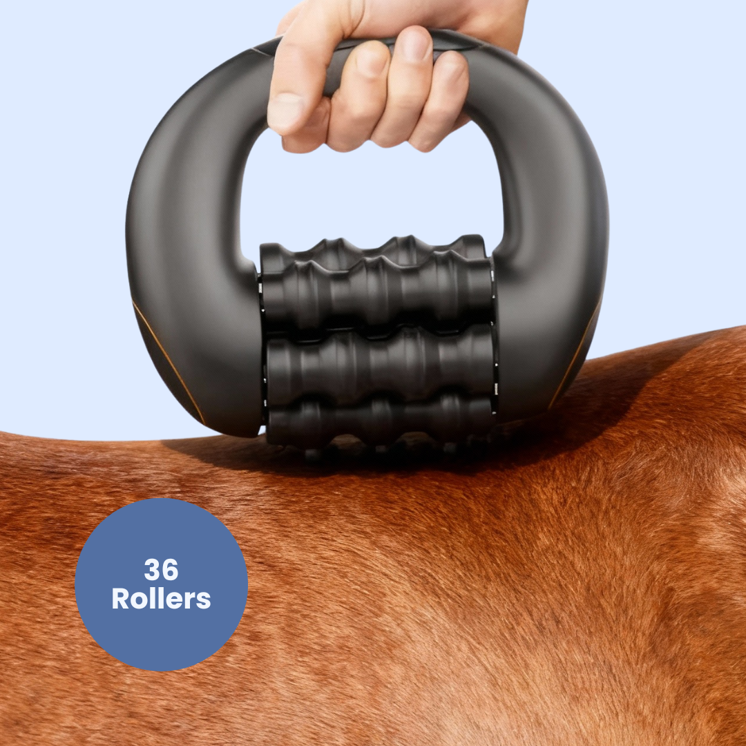 Chevaroo Lymphatic Silent Massager
