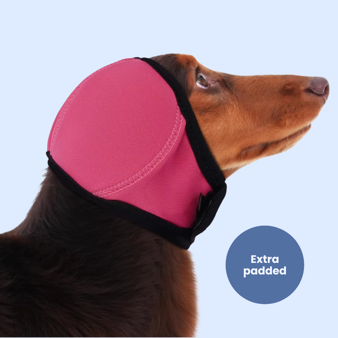 Chevaroo Extra Padded Anti-Barking & Calming Dog EarMuff