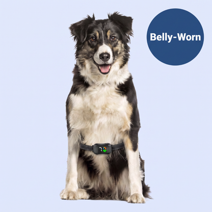 Chevaroo Ultrasonic Deterrent Barking Training Belly Collar