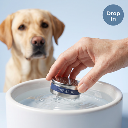 Chevaroo Dog Hydrogen Mineral Water Filter