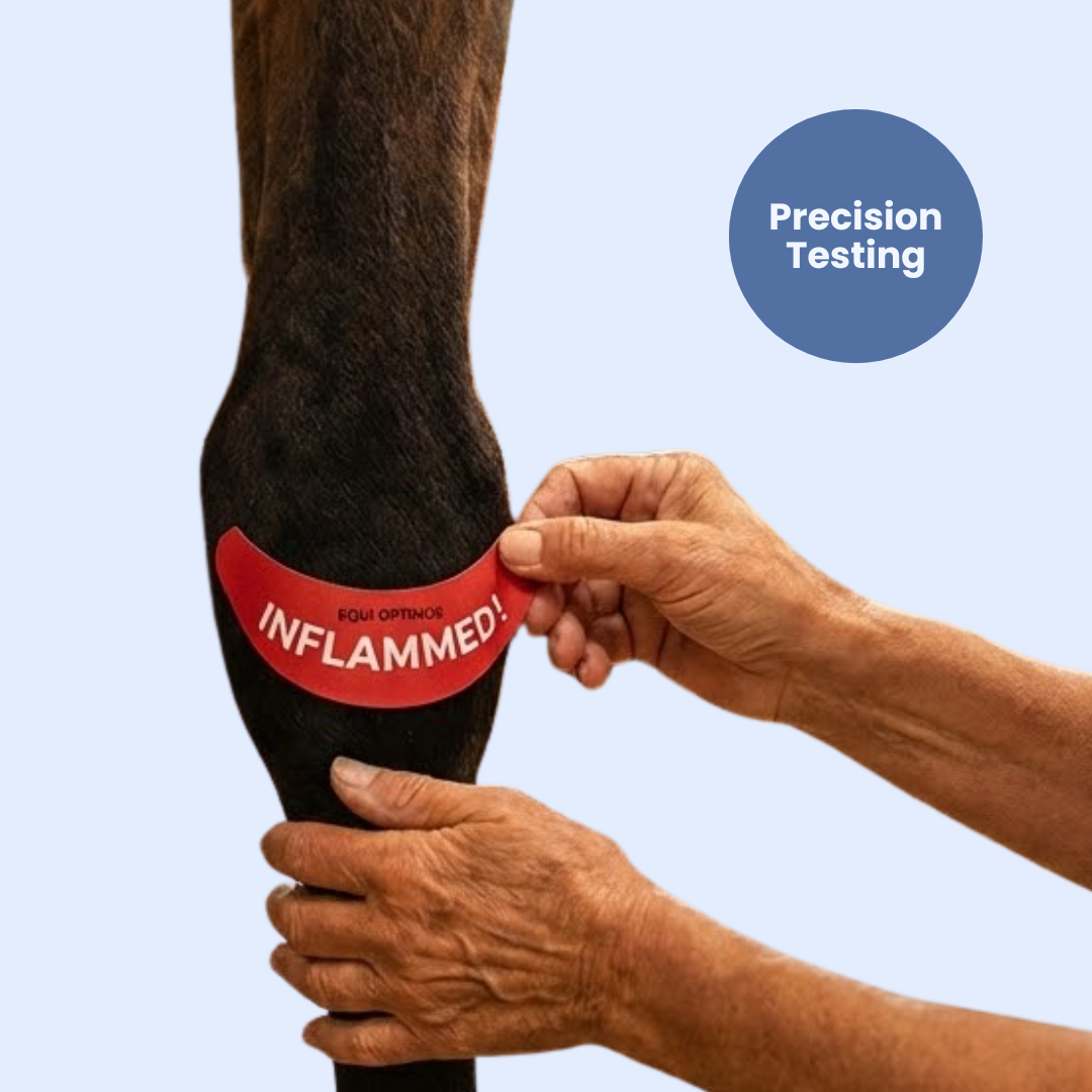 Autocollants de détection de l'inflammation à changement de couleur EquiOptimus