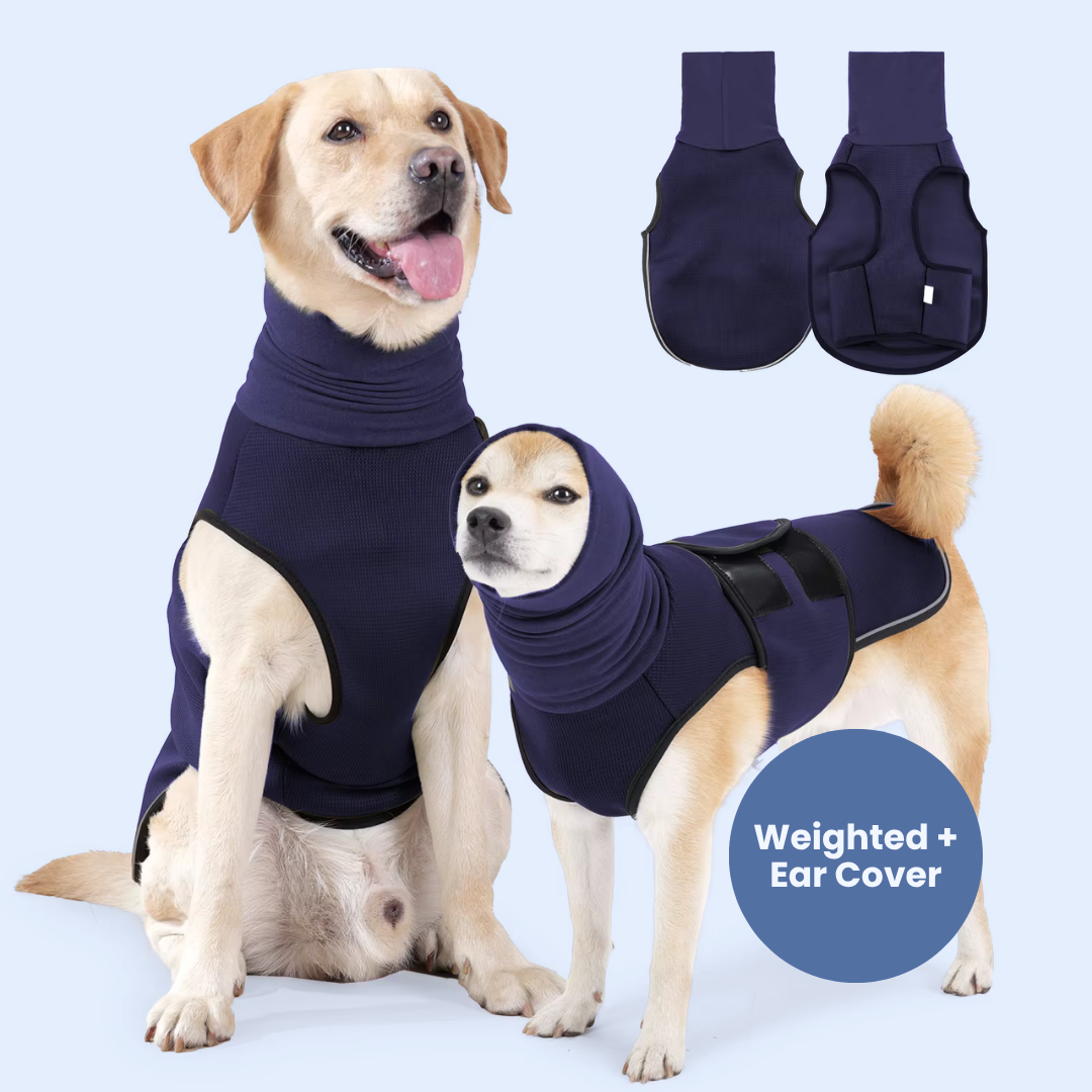 Chevaroo Weighted Calming EarMuff Vest
