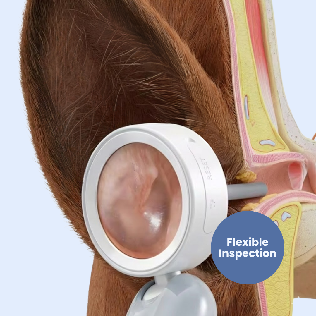 Chevaroo Horse Otoscope Ear