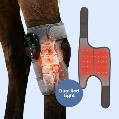 Chevaroo All-in-One Red Light Massager