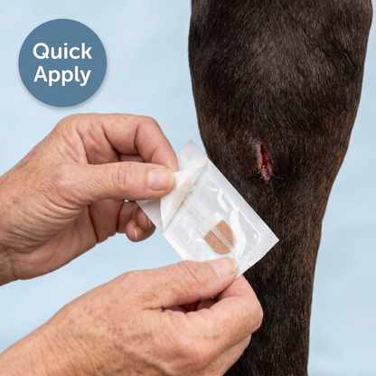 Chevaroo Horse Wound Closure Strip Kit