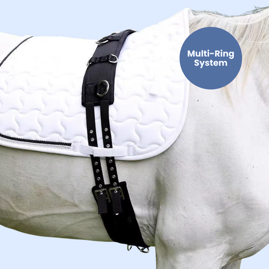 Chevaroo Horse Swayback Corrector