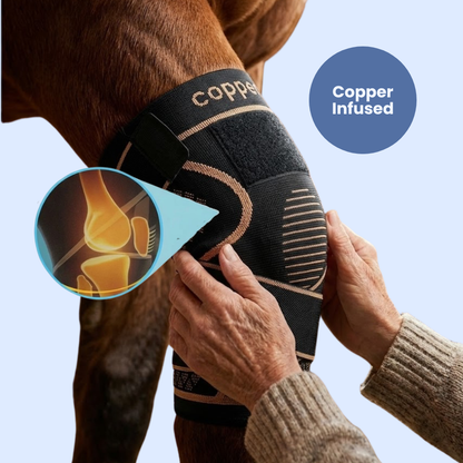 Chevaroo Horse Copper Brace
