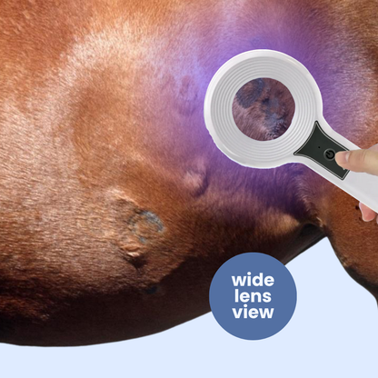 Chevaroo Ringworm/Mange UV Wood Lamp