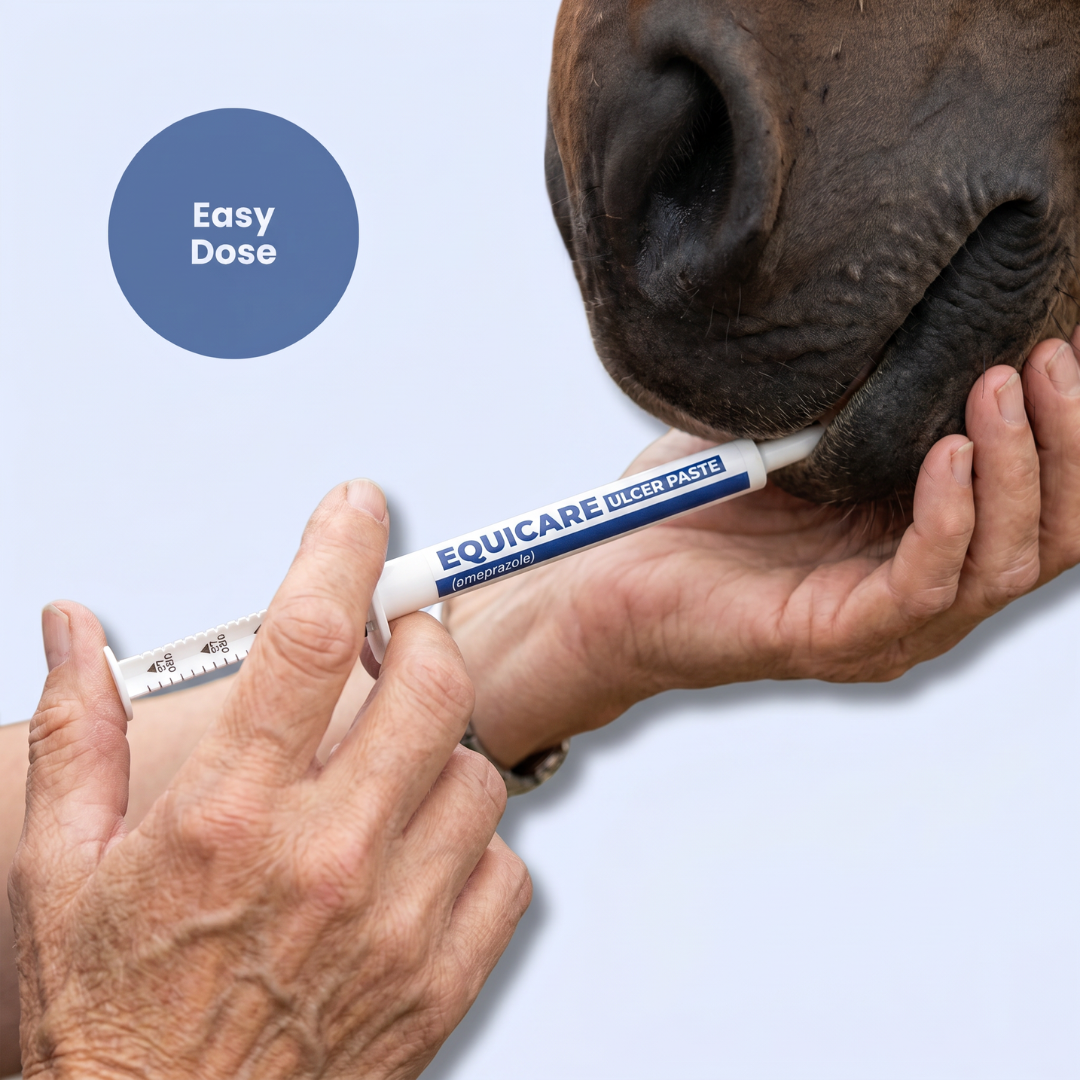 Chevaroo EquiCare Ulcer Paste