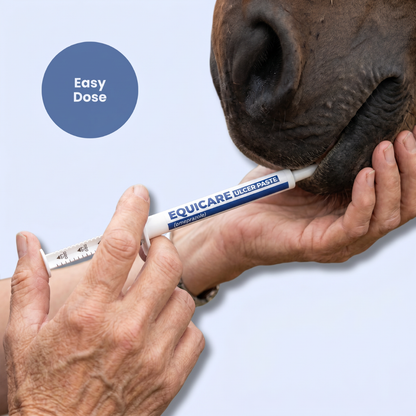 Chevaroo EquiCare Ulcer Paste