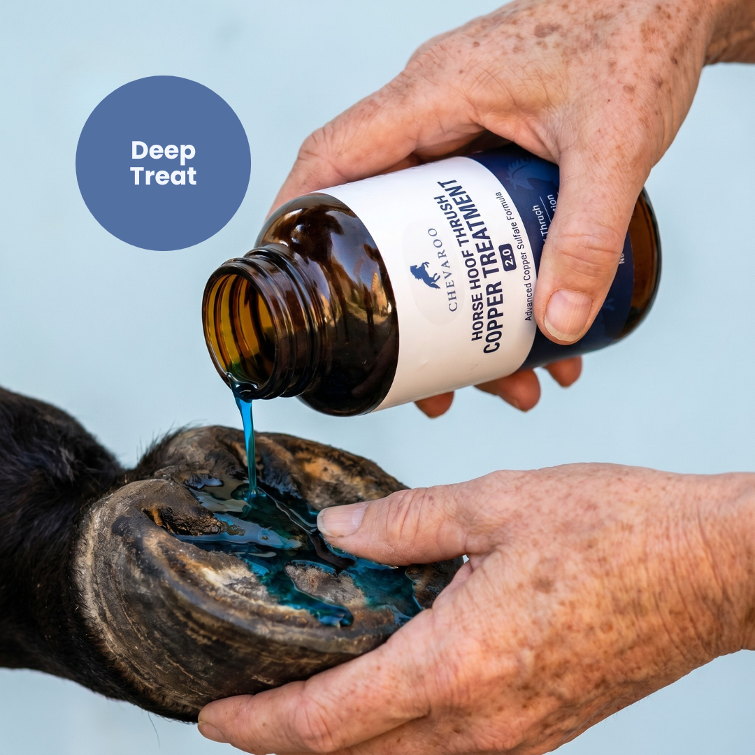 Chevaroo Horse Hoof Thrush Copper Treatment 2.0