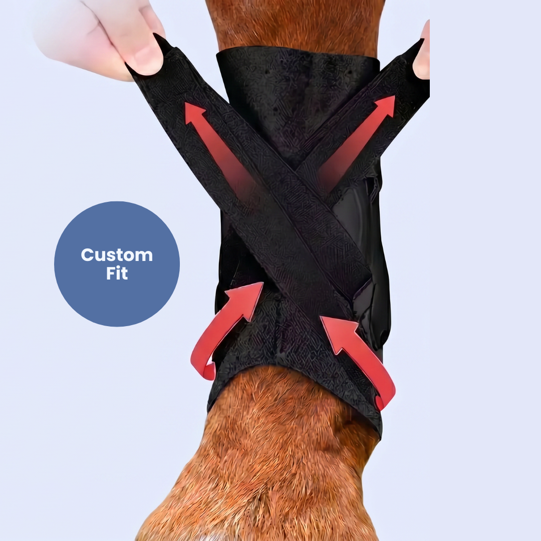 Chevaroo Suspensory Ligament Stability Boot 3.0