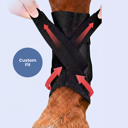 Chevaroo Suspensory Ligament Stability Boot 3.0