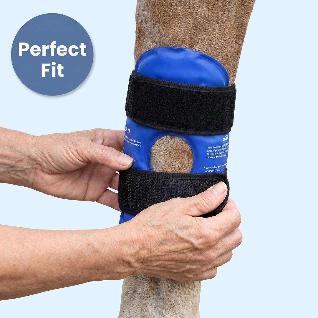 Chevaroo Horse Cold Therapy Wrap