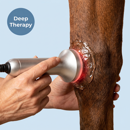 Chevaroo Ultrasound Pain Relief Device