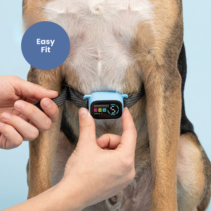 Chevaroo Dog AI Belly Bark Pro