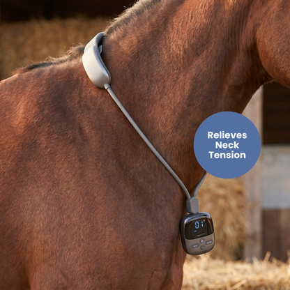 Chevaroo Neck Massager 2.0