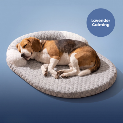Chevaroo Lavender-Filled Pillow Calming Dog Bed