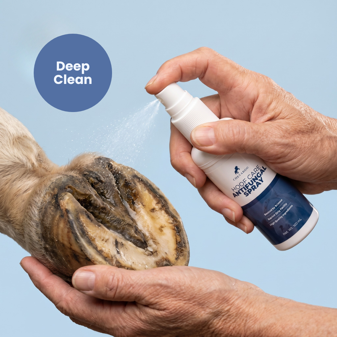 Chevaroo Hoof Care Antifungal Spray