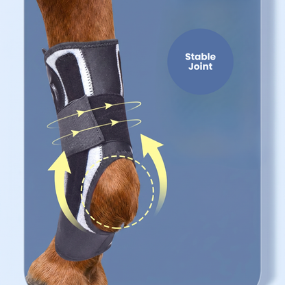 Chevaroo Suspensory Ligament Stability Boot 2.0