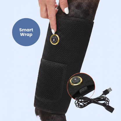 Chevaroo Hose Lymphatic Drainage Compression Boot