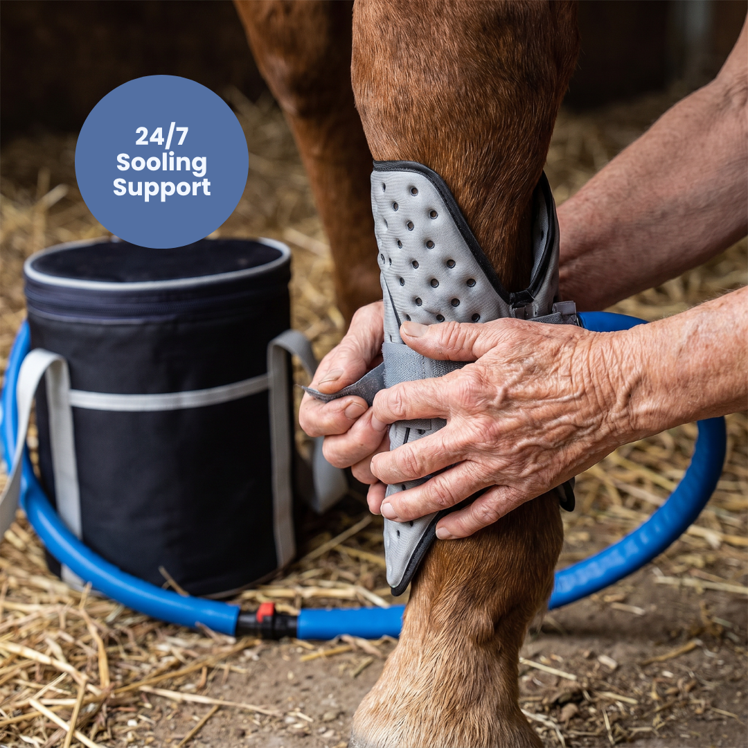 Chevaroo CryoFlow Circulation Timer