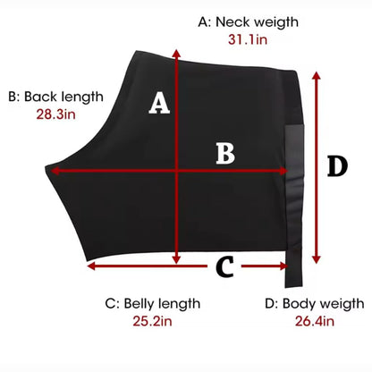 Chevaroo Horse Back Posture Corrector