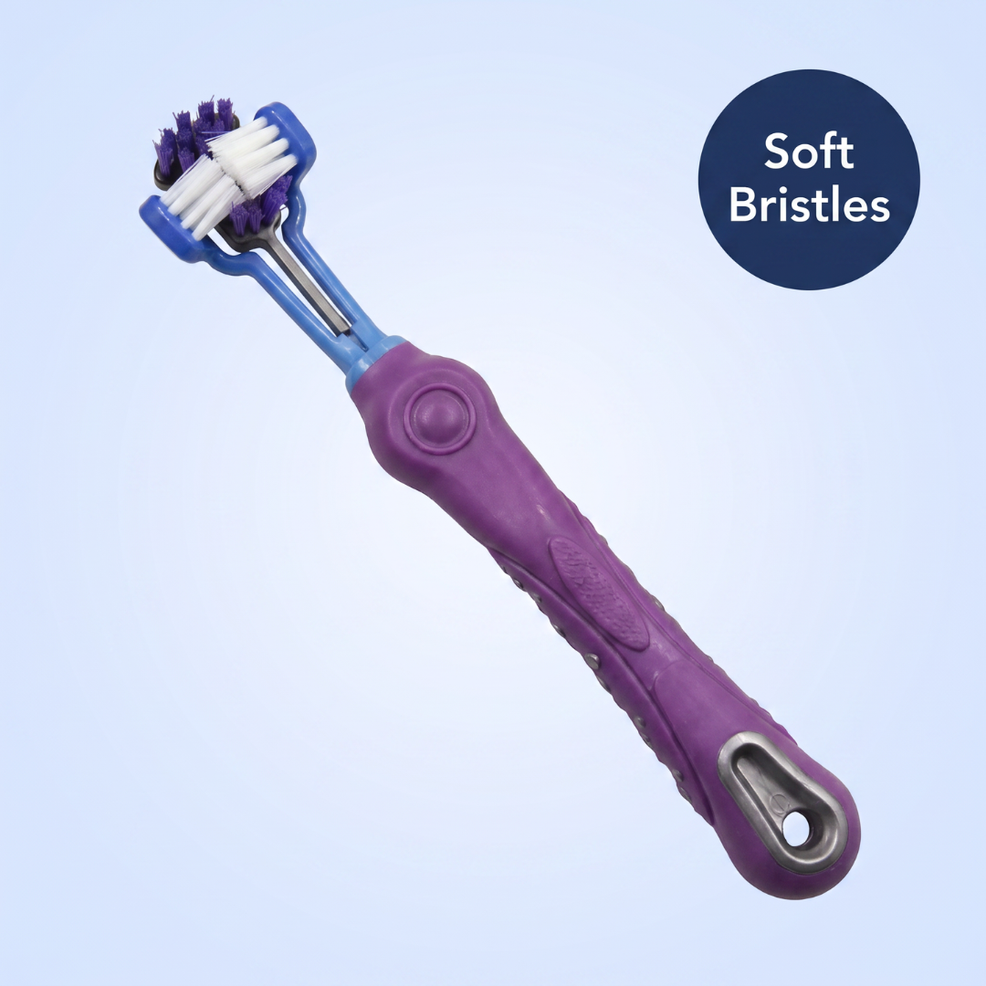 Chevaroo 3 Sided Dog Anti Plaque Toothbrush