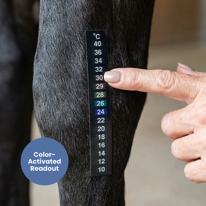 Chevaroo Digital Thermometer Adhesive Strip