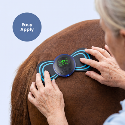 Chevaroo Horse Weight Loss EMS Unit