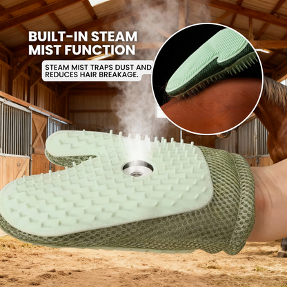 Chevaroo Hand Steam Brush