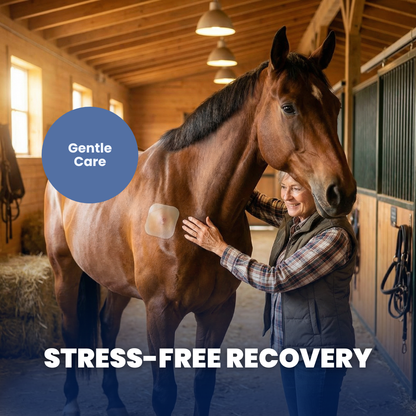 Chevaroo Horse Hydrocolloid Gel Patch Wound Healing