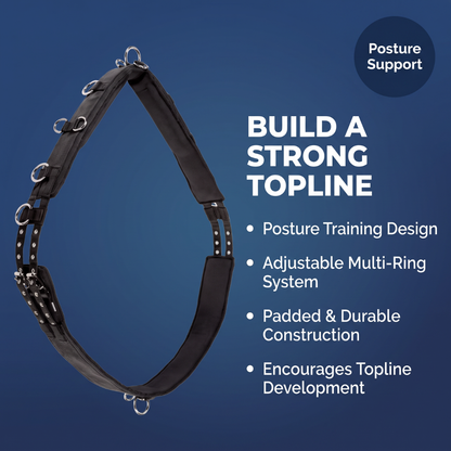 Chevaroo Horse Swayback Corrector