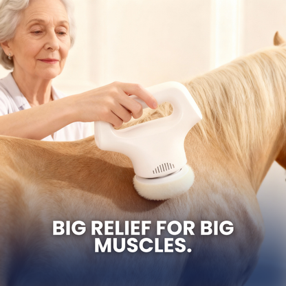 Chevaroo XXL Massager