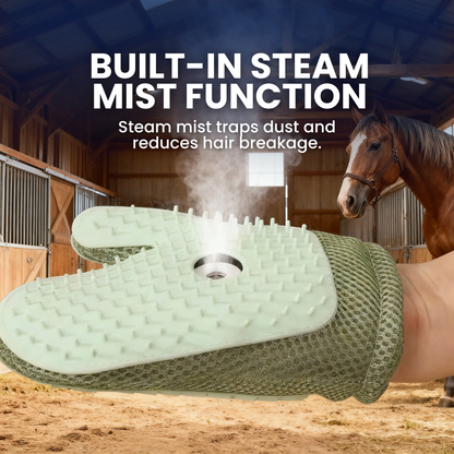 Chevaroo Hand Steam Brush