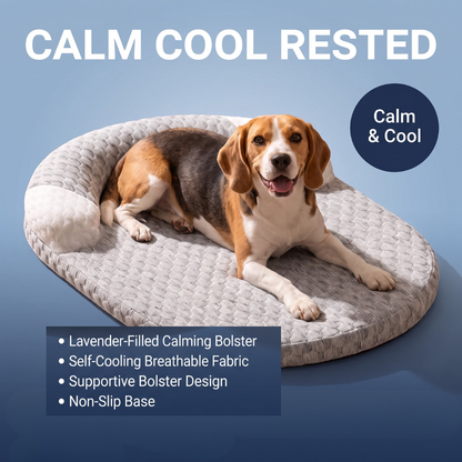 Chevaroo Lavender-Filled Pillow Calming Dog Bed