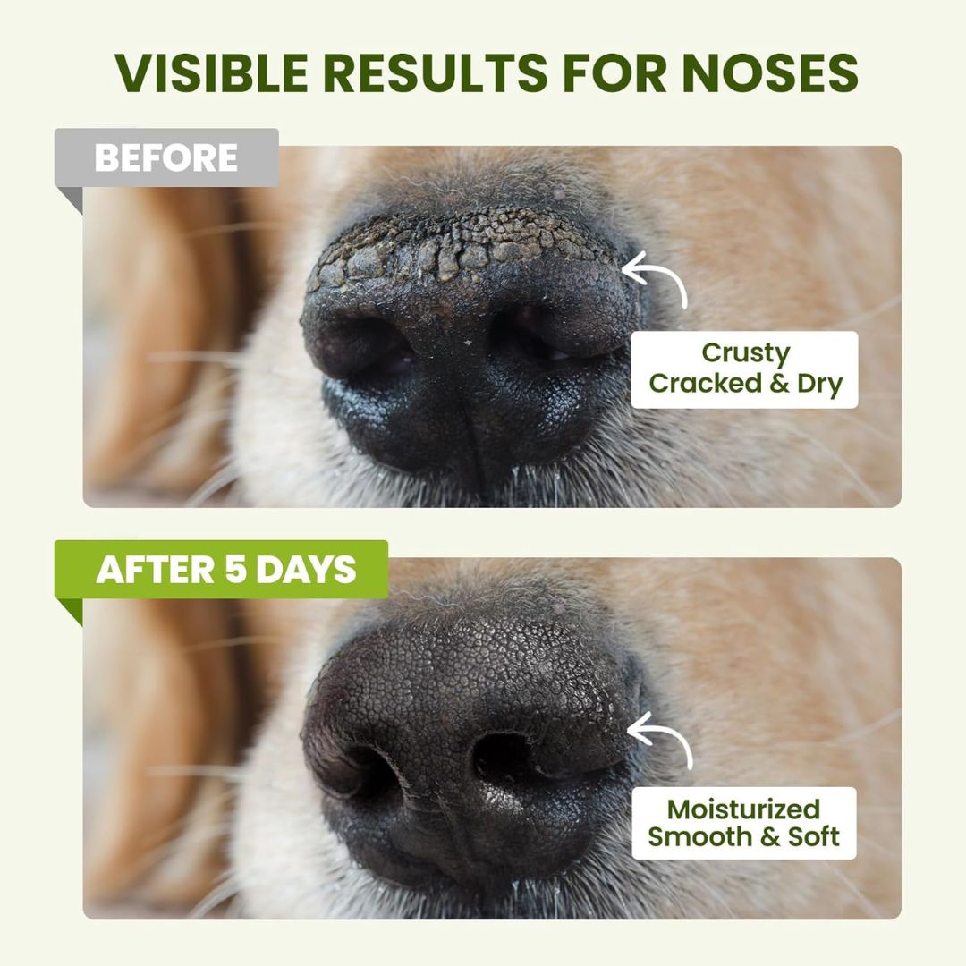 Chevaroo Magnesium Infused Dog Paw & Nose Balm