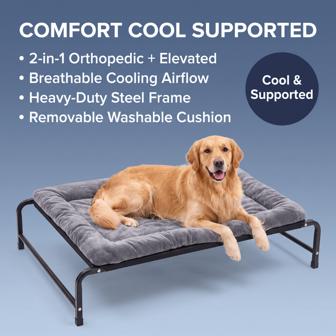 Chevaroo Elevated Orthopedic Dog Bed